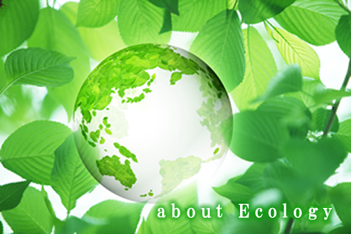 about ecology
